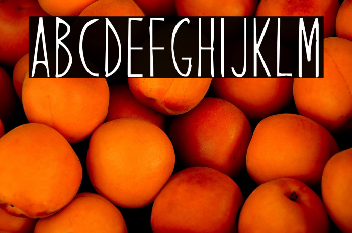 Dream Arranger Example 1