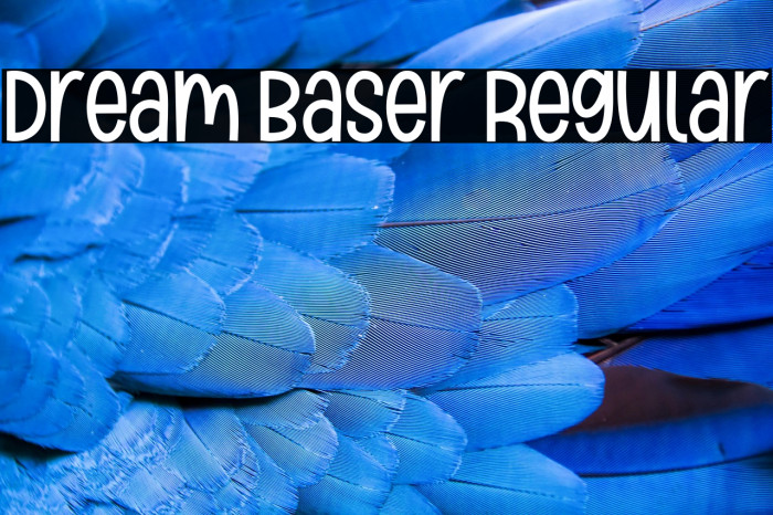 Dream Baser Regular Example 1
