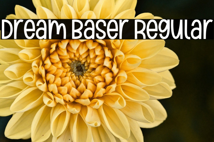 Dream Baser Regular Example 2