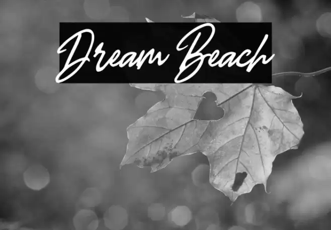 Dream Beach Font examples