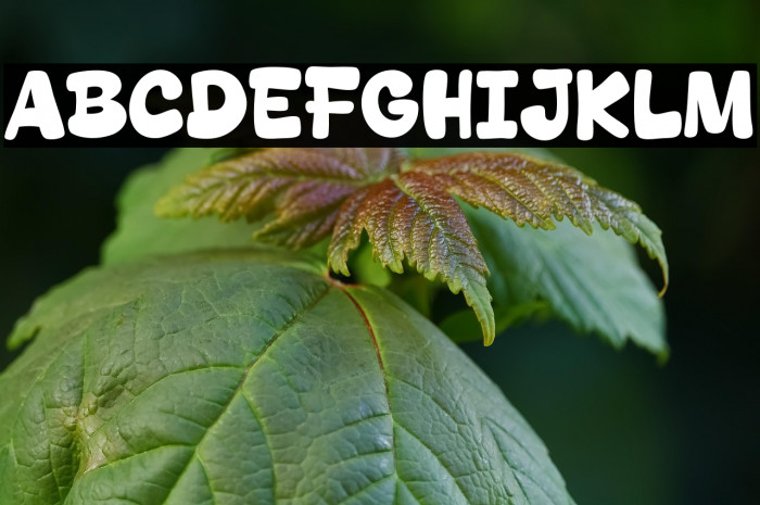 Dream Beige Example 1