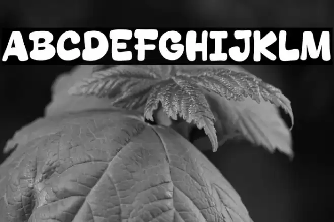 Dream Beige Font examples