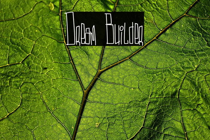 Dream Builder Example 2