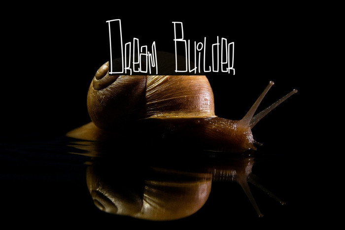 Dream Builder Example 3