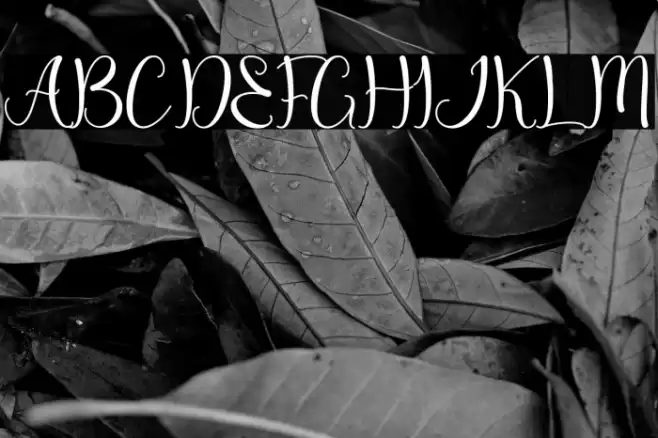 Dream Christmas - Personal Use Font examples