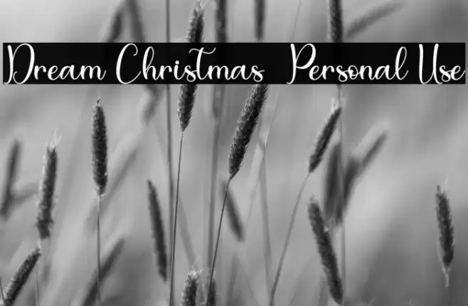 Dream Christmas - Personal Use Font examples