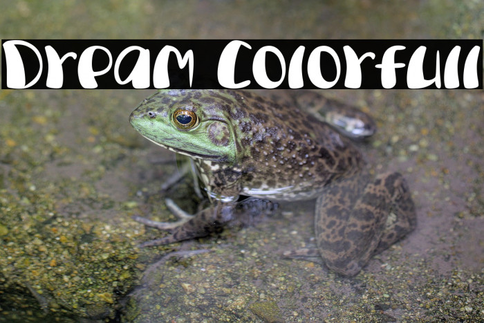 Dream Colorfull Example 1