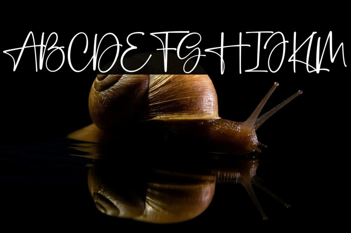 Dream Girl Example 1