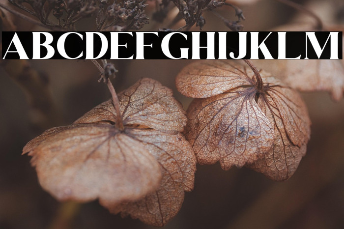 Dream Glory Example 1