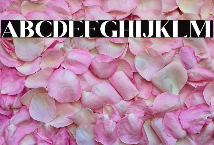 Dream Glory Example 3