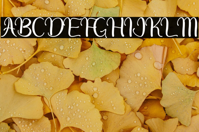 Dream Heart - Personal Use Example 1