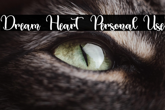 Dream Heart - Personal Use Example 1