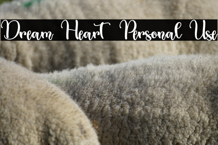 Dream Heart - Personal Use Example 2