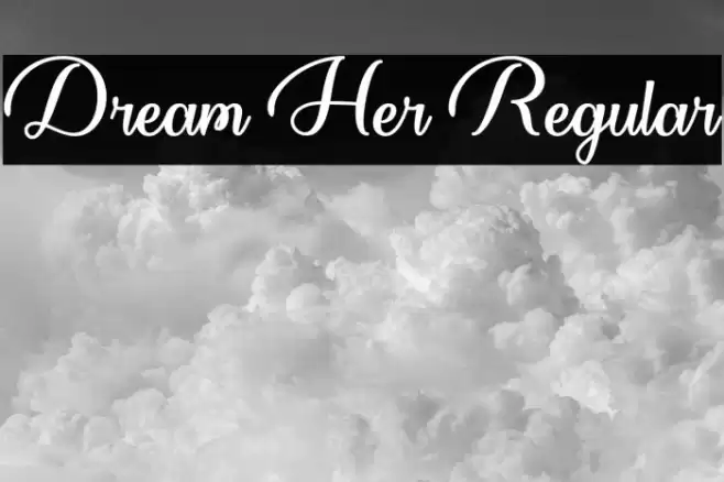 Dream Her Regular Polices examples
