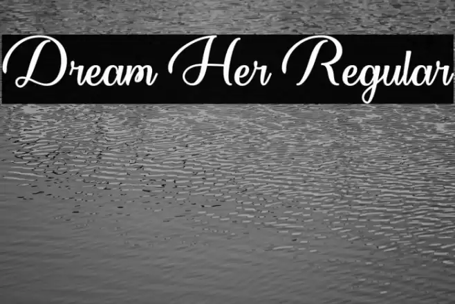 Dream Her Regular Polices examples