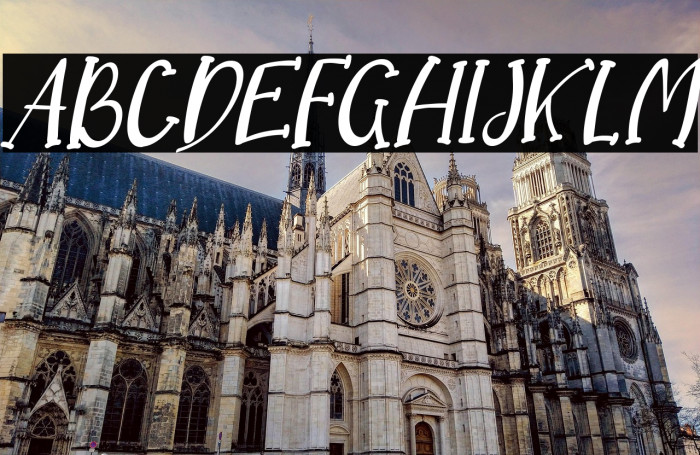 Dream Koala Italic Example 2