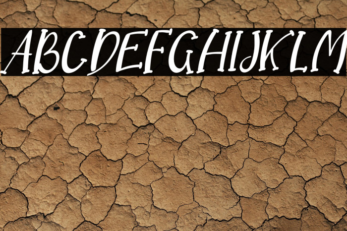 Dream Koala Italic Example 1