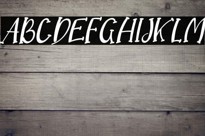 Dream Koala Italic Example 3