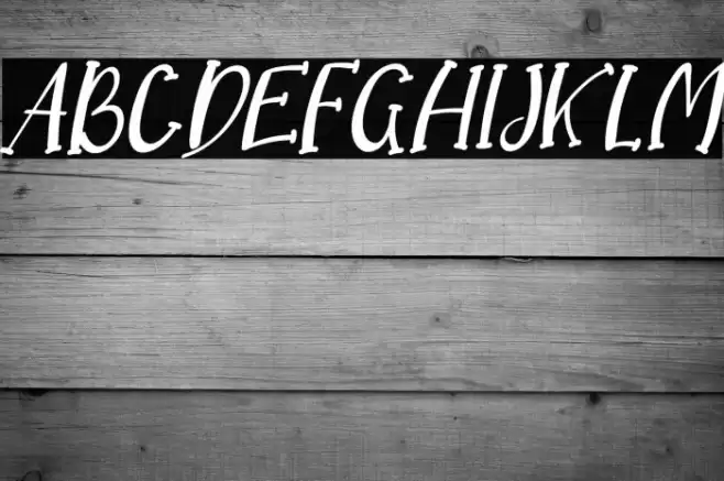 Dream Koala Italic Font examples