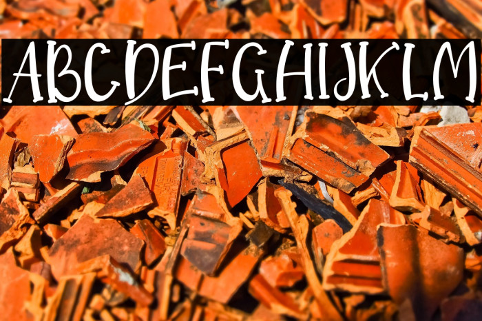 Dream Koala Example 1