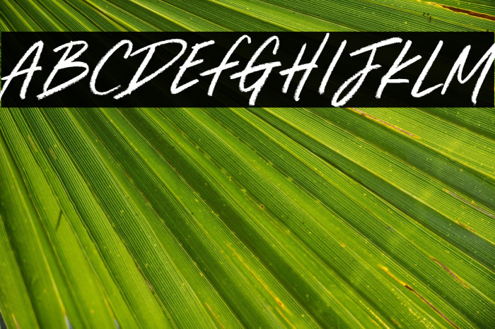 Dream Light Example 2