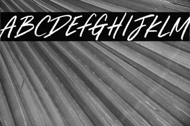 Dream Light Example 2