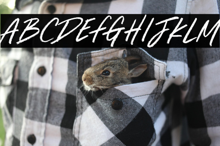 Dream Light Example 3