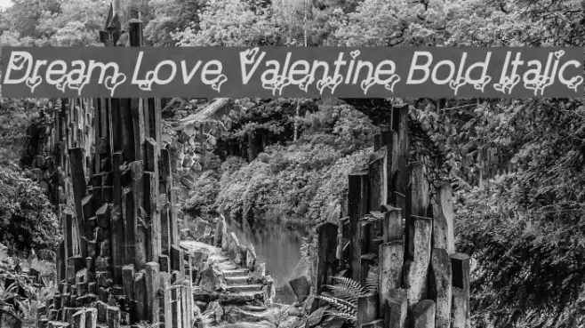 Dream Love Valentine Bold Italic Font examples