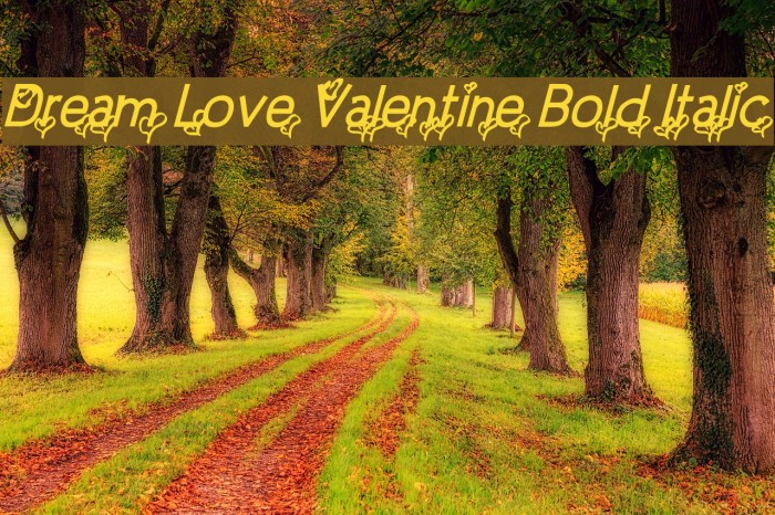 Dream Love Valentine Bold Italic Example 2