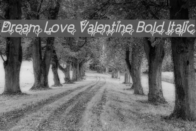 Dream Love Valentine Bold Italic Font examples