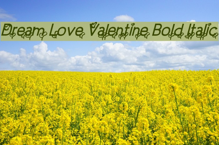 Dream Love Valentine Bold Italic Example 3