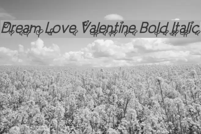 Dream Love Valentine Bold Italic Font examples