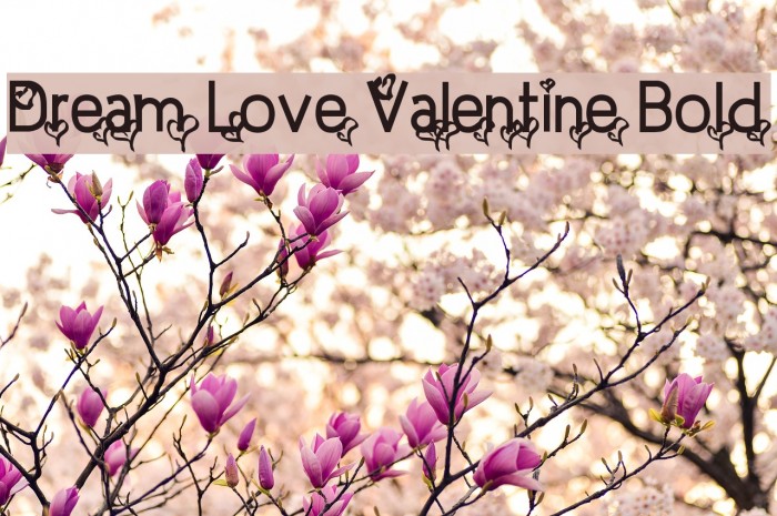 Dream Love Valentine Bold Example 2