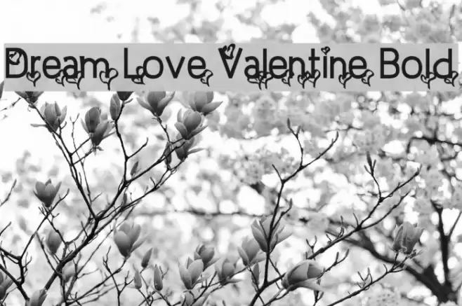 Dream Love Valentine Bold Font examples