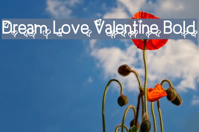 Dream Love Valentine Bold Example 3