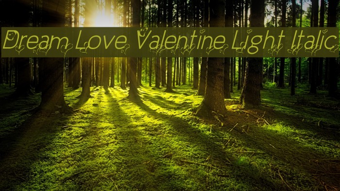 Dream Love Valentine Light Italic Example 2