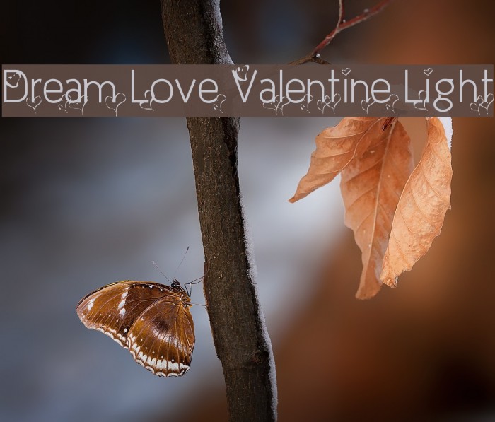 Dream Love Valentine Light Font examples