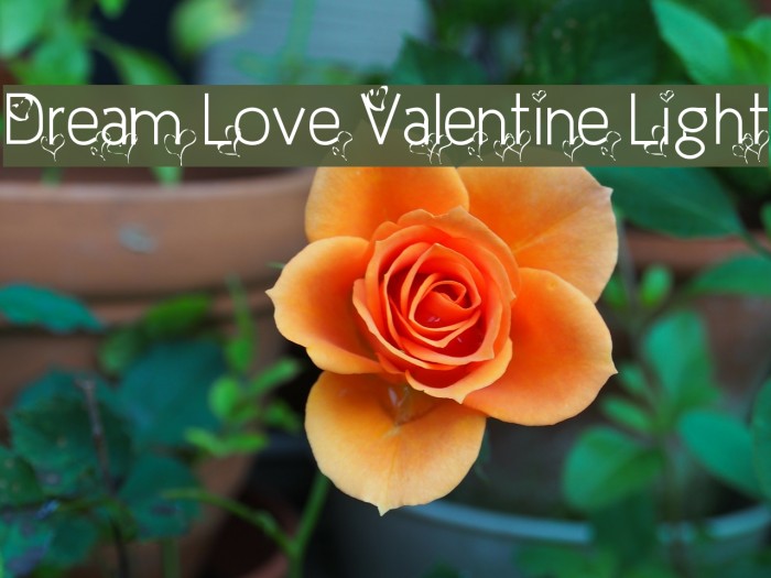 Dream Love Valentine Light Font examples