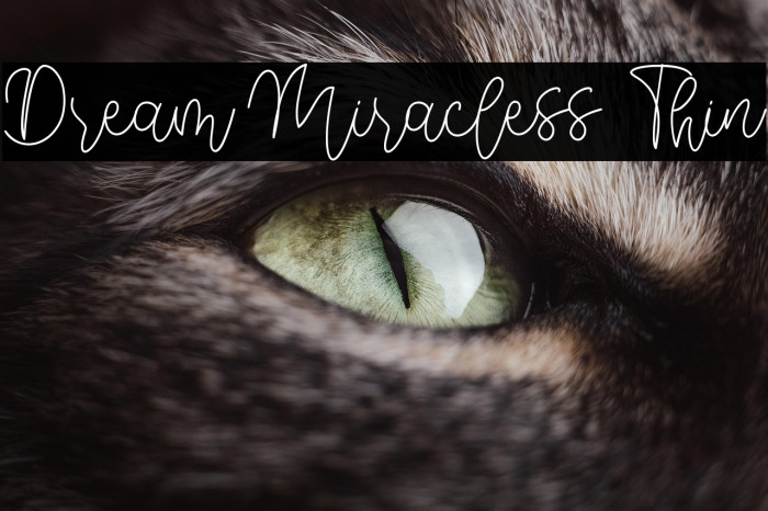Dream Miracless Thin Example 2