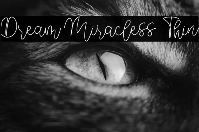 Dream Miracless Thin Font examples