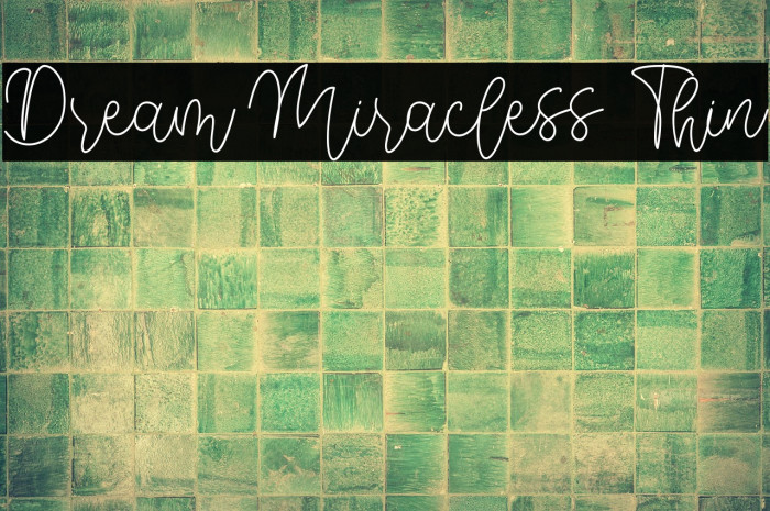 Dream Miracless Thin Example 3