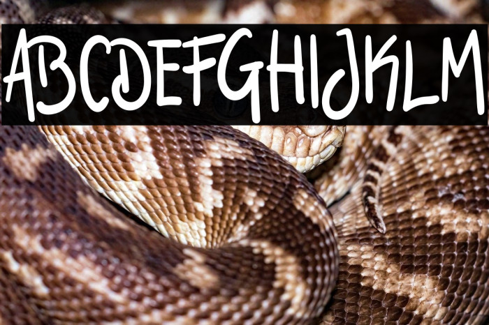 Dream Night Example 1