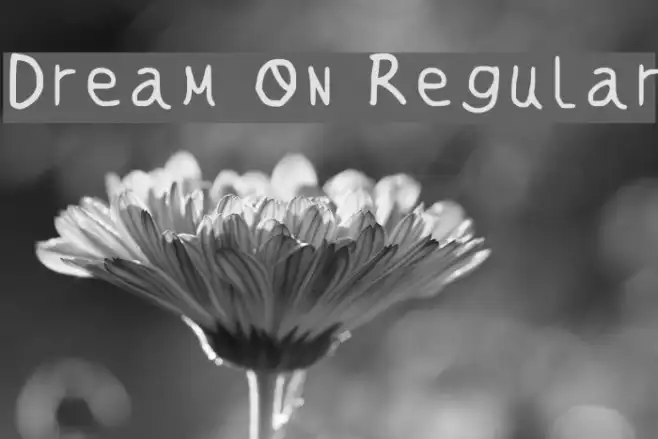 Dream On Regular Example 2