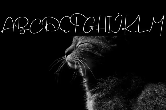 Dream Only Font examples