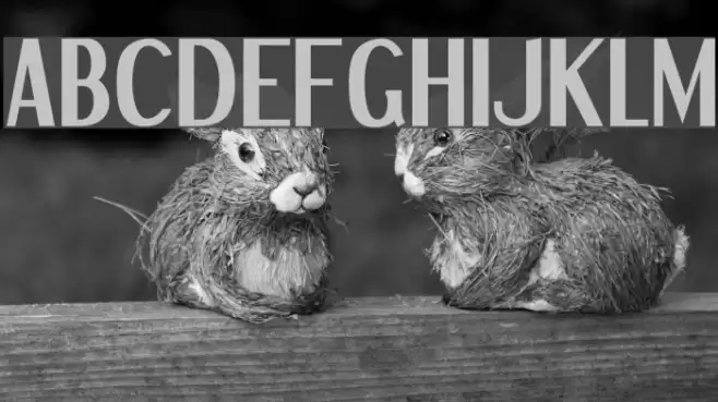 Dream Orphans Bold Font examples