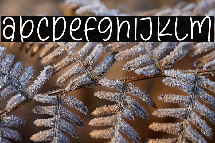 Dream Peaches Example 2