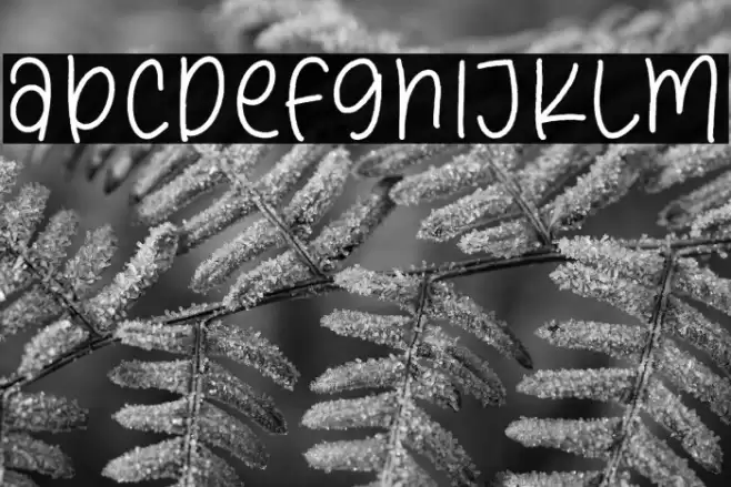 Dream Peaches Fonte examples