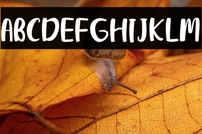 Dream Road Example 2