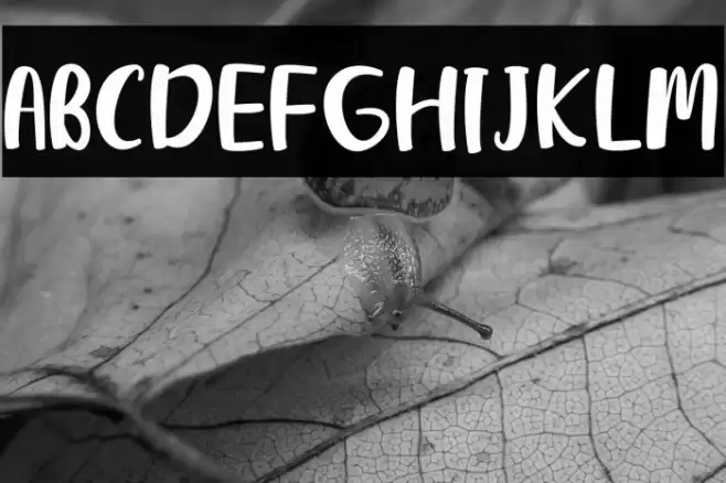 Dream Road Font examples