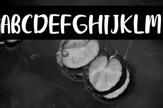 Dream Road Font examples